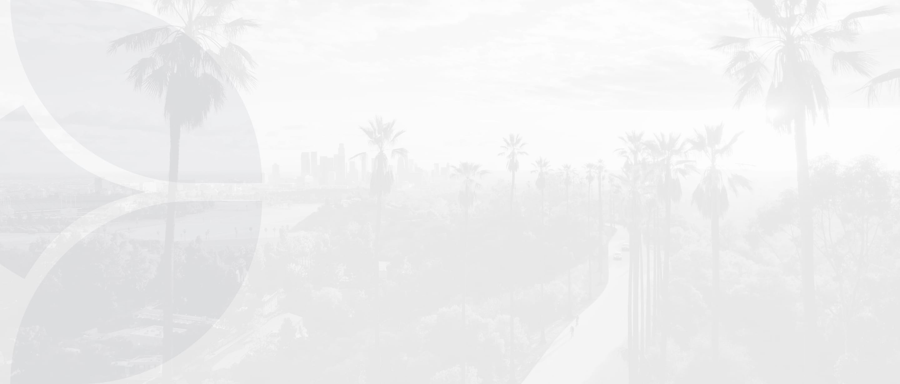 palm trees